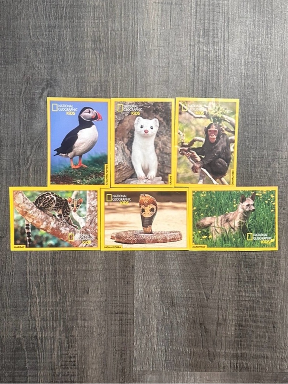 💞 Set of 6 Collectible National Geographic Kids Educational Animal Cards